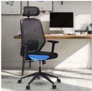 The Sleep Company - Uno Orthopedic Office Chair (Black)